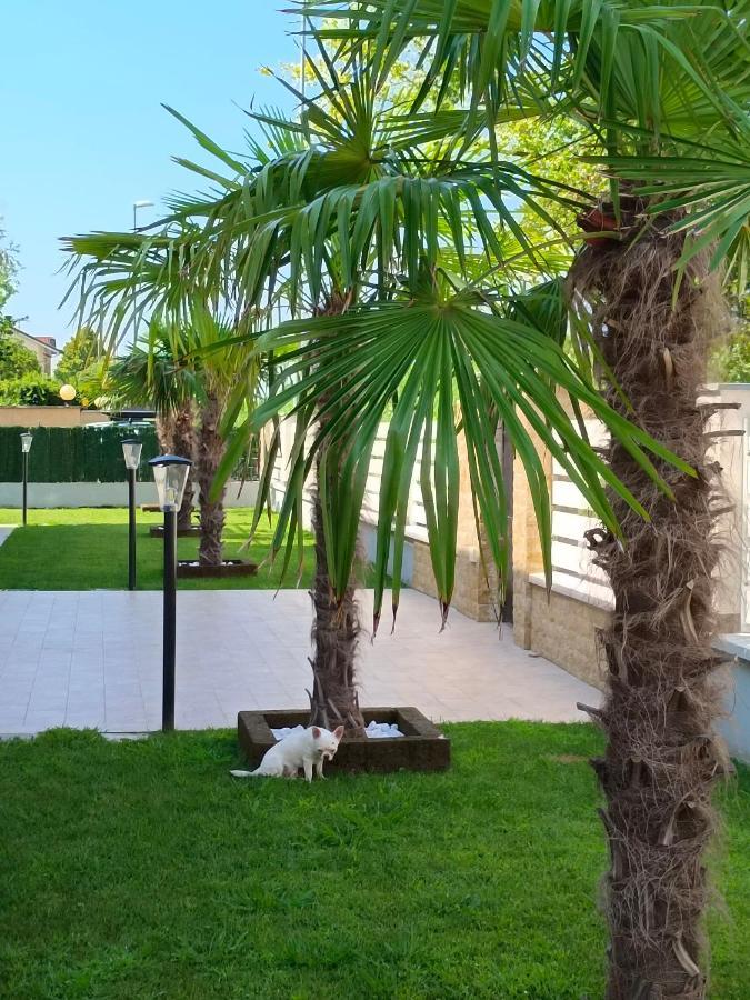 Residence Deamarina Marina di Massa Kültér fotó
